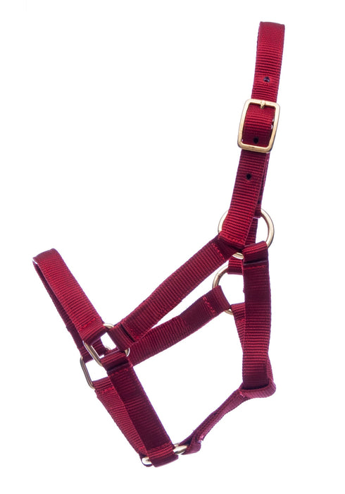 Jeffers Miniature Yearling (under 100 lb) Nylon Halter - Jeffers - Horse Supplies > Horse Tack > Horse Halters