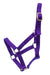 Jeffers Miniature Yearling (under 100 lb) Nylon Halter - Jeffers - Horse Supplies > Horse Tack > Horse Halters