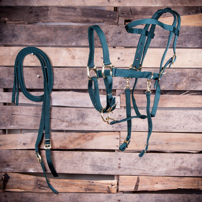 Jeffers Nylon Combination Halter Bridle With Reins - Jeffers - Horse Supplies > Horse Tack > Bridles & Headstalls