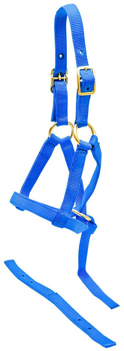 Jeffers Nylon 'Grow With Me' Weanling Halter, 3/4' - Jeffers - Horse Supplies > Horse Tack > Horse Halters