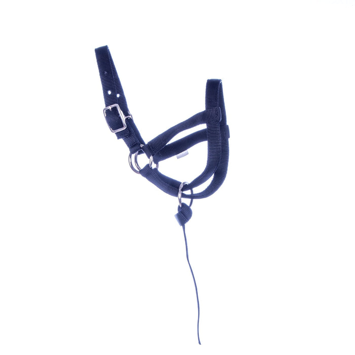 Jeffers Nylon Llama Halter, adult - Jeffers - Animal & Pet Supplies > Animal & Pet Supplies