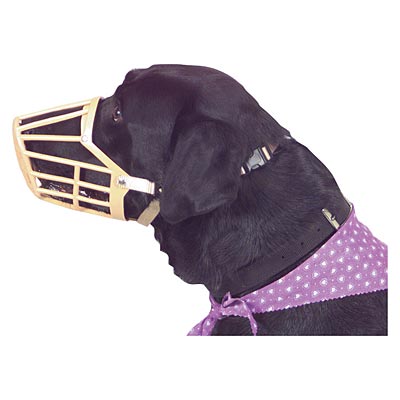 Jeffers Plastic Dog Muzzles - Jeffers - Animal & Pet Supplies > Pet Training Aids