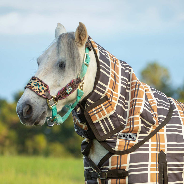 Jeffers Pony Poppins Solaris Neck Rug, Brown & Cream Plaid - Jeffers - 