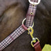 Jeffers Poplar Head Halter & Lead, Full - Jeffers - Horse Supplies > Horse Tack > Horse Halters