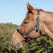 Jeffers Poplar Head Halter & Lead, Full - Jeffers - Horse Supplies > Horse Tack > Horse Halters