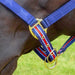 Jeffers Poplar Head Halter & Lead, Full - Jeffers - Horse Supplies > Horse Tack > Horse Halters