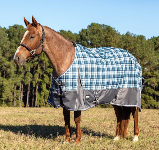 Jeffers Poplar Head Origin 600 Denier Turnout Blanket, 240 Gram, Waterloo and Cream Plaid - Jeffers - Horse Supplies > Horse Blankets & Sheets