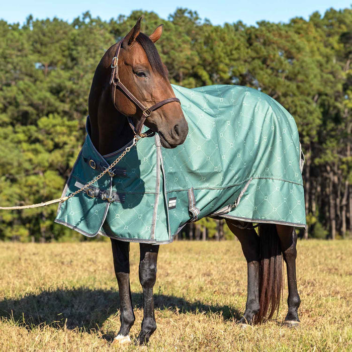 Jeffers Poplar Head Uniquely English 1200 Denier Turnout Blanket, 240 Gram, Spruce Stirrup Irons - Jeffers - Horse Supplies > Horse Blankets & Sheets