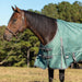 Jeffers Poplar Head Uniquely English 1200 Denier Turnout Blanket, 240 Gram, Spruce Stirrup Irons - Jeffers - Horse Supplies > Horse Blankets & Sheets