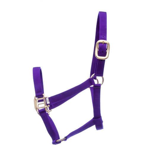 Jeffers Premium Nylon Horse Halter, for Horses 600 - 900 lb (3 - ply, 1') - Jeffers - Horse Supplies > Horse Tack > Horse Halters