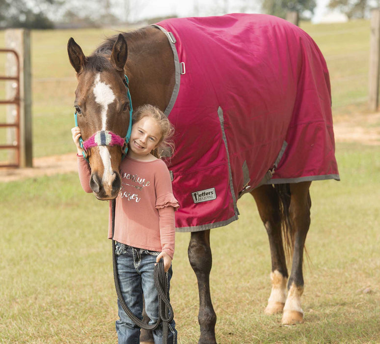 Jeffers Romper Stomper Turnout Sheet, 1680D - Jeffers - Horse Supplies > Horse Blankets & Sheets