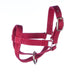 Jeffers Small Goat Halter - Jeffers - Goat Supplies > Goat Supplies