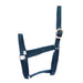 Jeffers Turnout Halter, Suckling (150 - 250 lb) - Jeffers - Horse Supplies > Horse Tack > Horse Halters