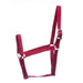 Jeffers Turnout Nylon Halter, 2 - yr old (600 - 900 lb) - Jeffers - Horse Supplies > Horse Tack > Horse Halters