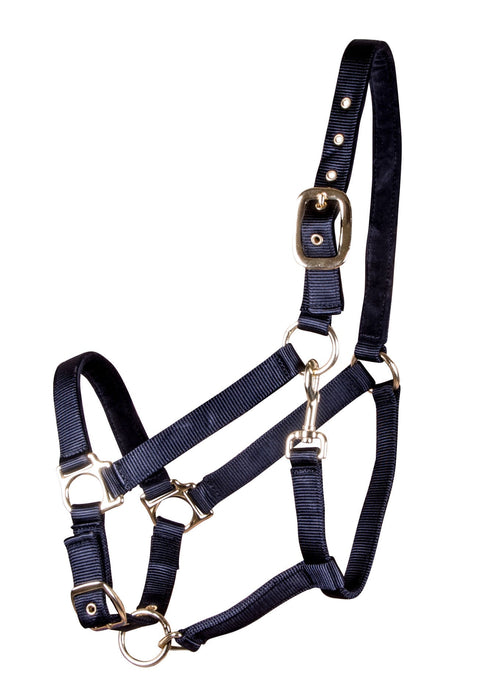 Jeffers Warmblood Adjustable Nylon Halters, (1200 - 1500 lb) - Jeffers - Horse Supplies > Horse Tack > Horse Halters