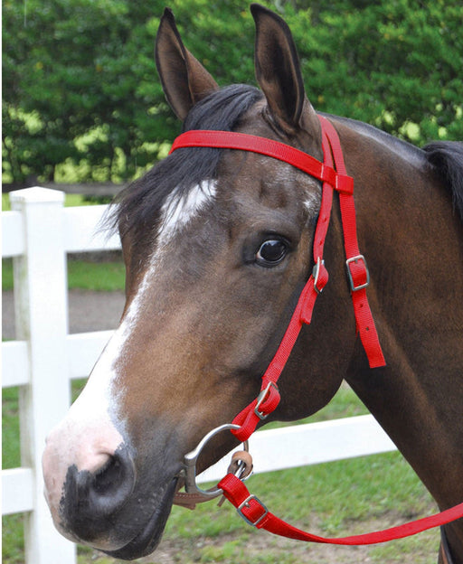 Jeffers Western Nylon Horse Bridle w/ Split Reins - Jeffers - Horse Supplies > Horse Tack > Bridles & Headstalls