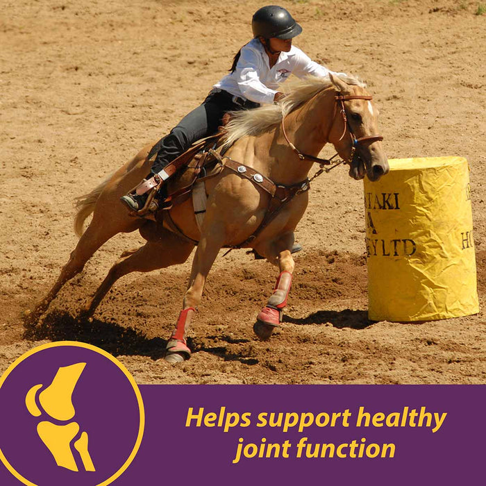 Joint Combo™ - Jeffers - Animal Health & Wellness > Joint Health