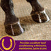 Joint Combo Hoof & Coat - Jeffers - Animal Health & Wellness > Vitamins & Supplements