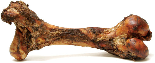 Jumbo Beef Bone for Medium to Large Dogs - Jeffers - Dog Supplies > Dog Treats > Bones