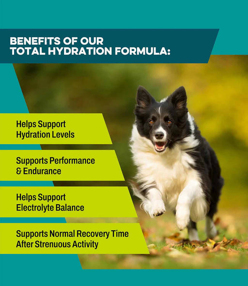 K9 Power Go Dog Total Hydration Formula for Dogs - Jeffers - Animal Health & Wellness > Vitamins & Supplements