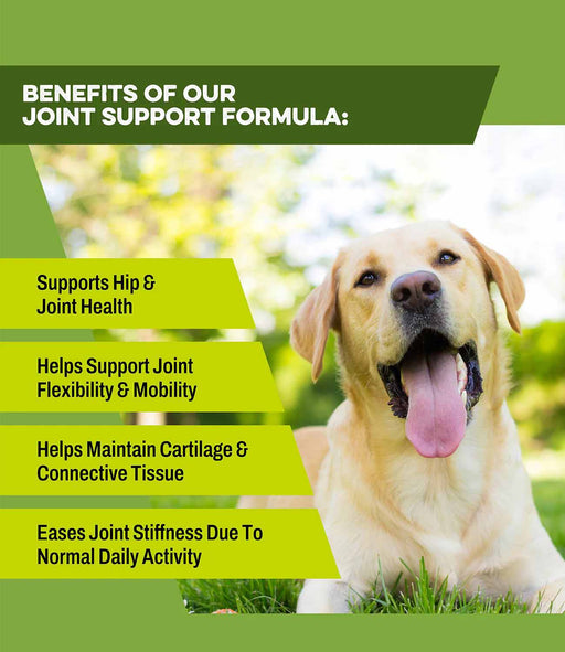 K9 Power Joint Strong Joint Support Formula for Dogs - Jeffers - Animal Health & Wellness > Vitamins & Supplements