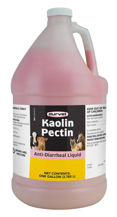 Kaolin Pectin Solution, Gallon - Jeffers - Animal Health & Wellness > Medical Supplies