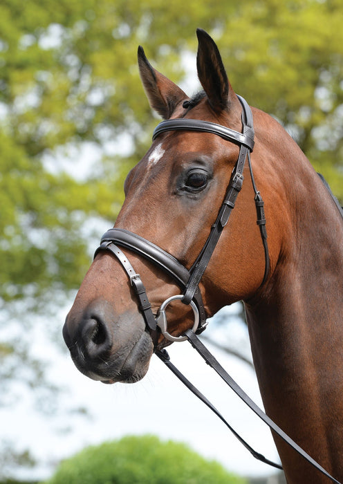 Kincade Leather Padded Flash Horse Bridle - Jeffers - Horse Supplies > Horse Tack > Bridles & Headstalls