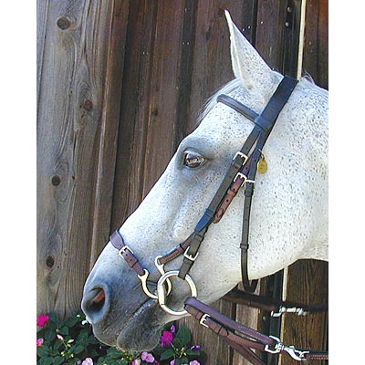 Kineton Noseband - Jeffers - Horse Supplies > Horse Tack > Bridles & Headstalls