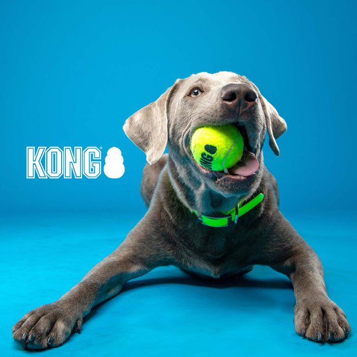 KONG SqueakAir Tennis Ball - Jeffers - Dog Supplies > Dog Toys