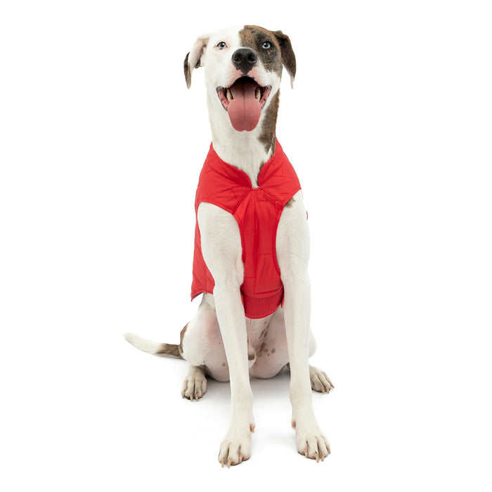 Kurgo Reversible Loft Jacket - Jeffers - Dog Supplies > Dog Apparel