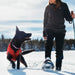 Kurgo Reversible Loft Jacket - Jeffers - Dog Supplies > Dog Apparel