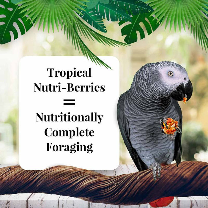 Lafeber Parrot Tropical Fruit Nutri - Berries, 10 oz bag - Jeffers - Bird Supplies > Bird Supplies