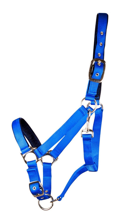 Large Horse Adjustable Nylon Halter, (900 - 1200 lb) - Jeffers - Horse Supplies > Horse Tack > Horse Halters