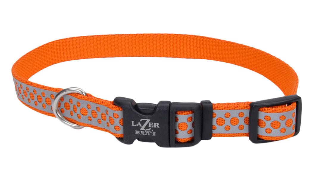 Lazer Brite 1' Dog Collar, 18' - 26' - Jeffers - Dog Supplies > Dog Apparel > Dog Collars, Harnesses, & Leashes