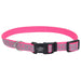 Lazer Brite Dog Collar, 12' - 18' x 5/8' - Jeffers - Dog Supplies > Dog Apparel > Dog Collars, Harnesses, & Leashes