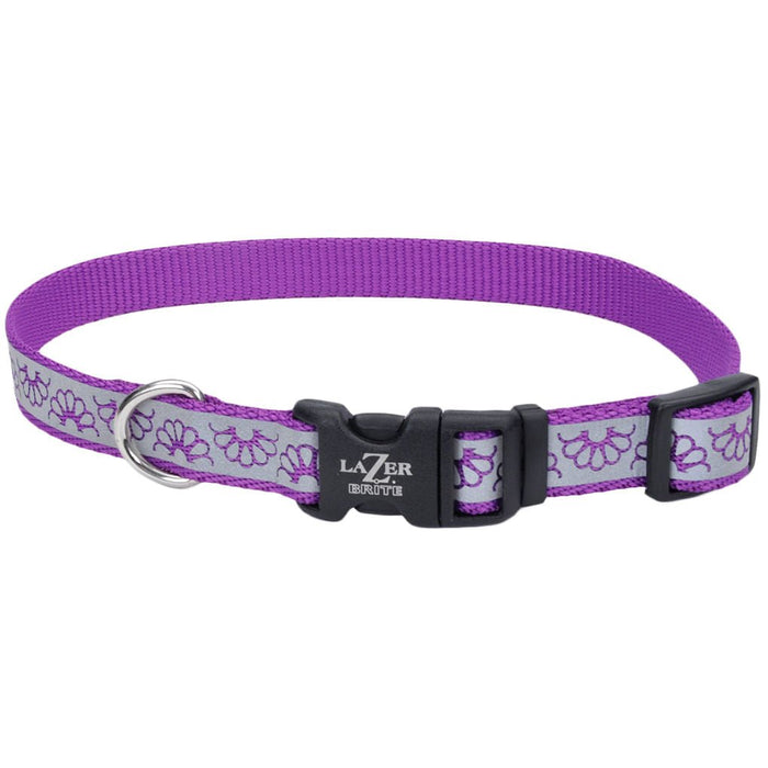 Lazer Brite Dog Collar, 12' - 18' x 5/8' - Jeffers - Dog Supplies > Dog Apparel > Dog Collars, Harnesses, & Leashes