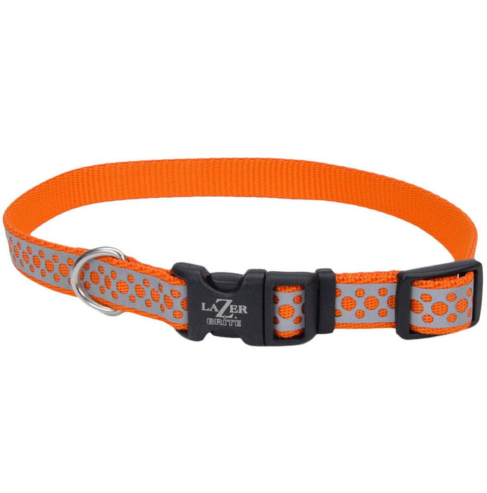 Lazer Brite Dog Collar, 8 - 12' x 3/8' - Jeffers - Dog Supplies > Dog Apparel > Dog Collars, Harnesses, & Leashes