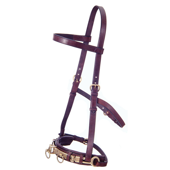 Leather Lunge Cavesson - Jeffers - Horse Supplies > Training