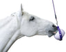 Likit Boredom Buster - Jeffers - Horse Supplies > Horse Treats