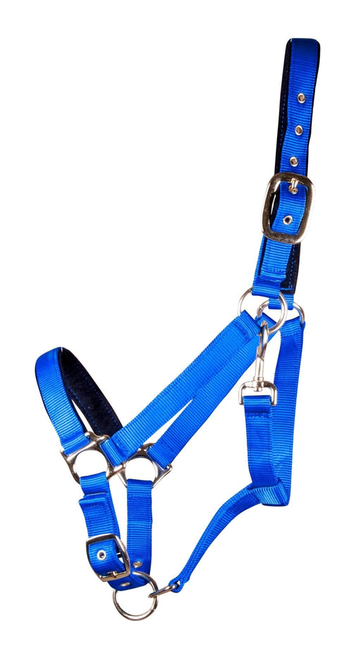 Lined Adjustable Nylon Halter for Medium Horse (600 - 900 lb) - Jeffers - Horse Supplies > Horse Tack > Horse Halters