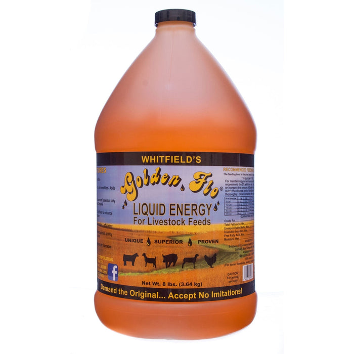 Livestock Golden Flo Liquid Energy, gallon - Jeffers - Animal Health & Wellness > Skin & Coat Care