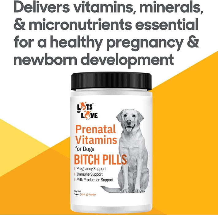 Lots of Love Bitch Pills - Jeffers - Animal Health & Wellness > Breeding Supplies