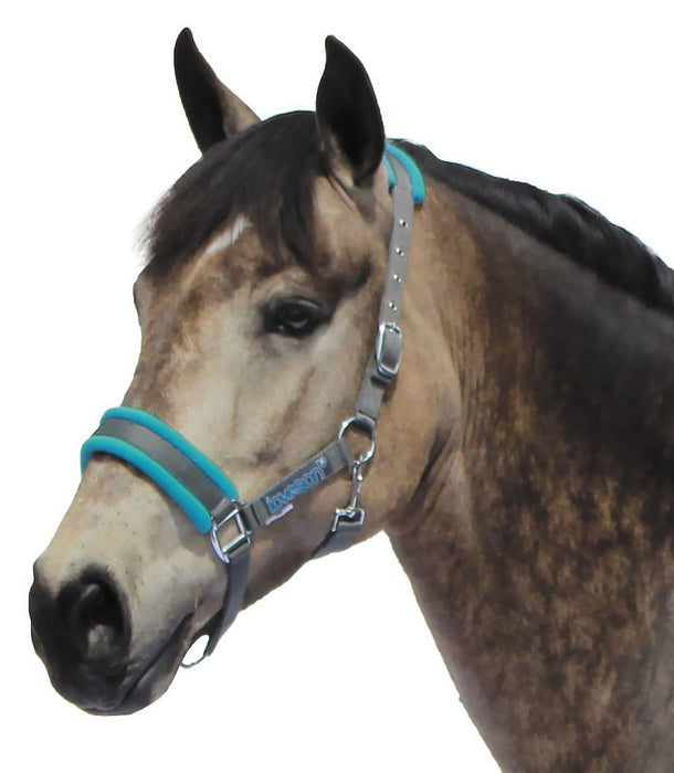 Loveson Nylon Horse Halter - Jeffers - Horse Supplies > Horse Tack > Horse Halters