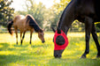 Lycra Fly Mask with Ears for Horses - Jeffers - Horse Supplies > Horse Fly Masks