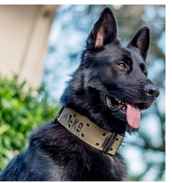 M1 - K9 Tactical Collar (Gen 3) - Jeffers - Dog Supplies > Dog Apparel > Dog Collars, Harnesses, & Leashes