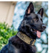 M1 - K9 Tactical Collar (Gen 3) - Jeffers - Dog Supplies > Dog Apparel > Dog Collars, Harnesses, & Leashes