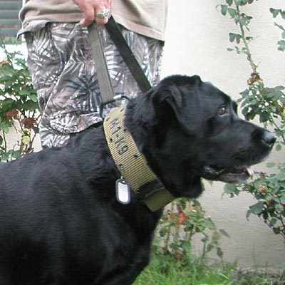 M1 - K9 Tactical Collar (Gen 3) - Jeffers - Dog Supplies > Dog Apparel > Dog Collars, Harnesses, & Leashes