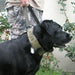 M1 - K9 Tactical Collar (Gen 3) - Jeffers - Dog Supplies > Dog Apparel > Dog Collars, Harnesses, & Leashes