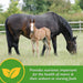 Mare Plus Gestation and Lactation Supplement - Jeffers - Horse Supplies > Horse Supplies