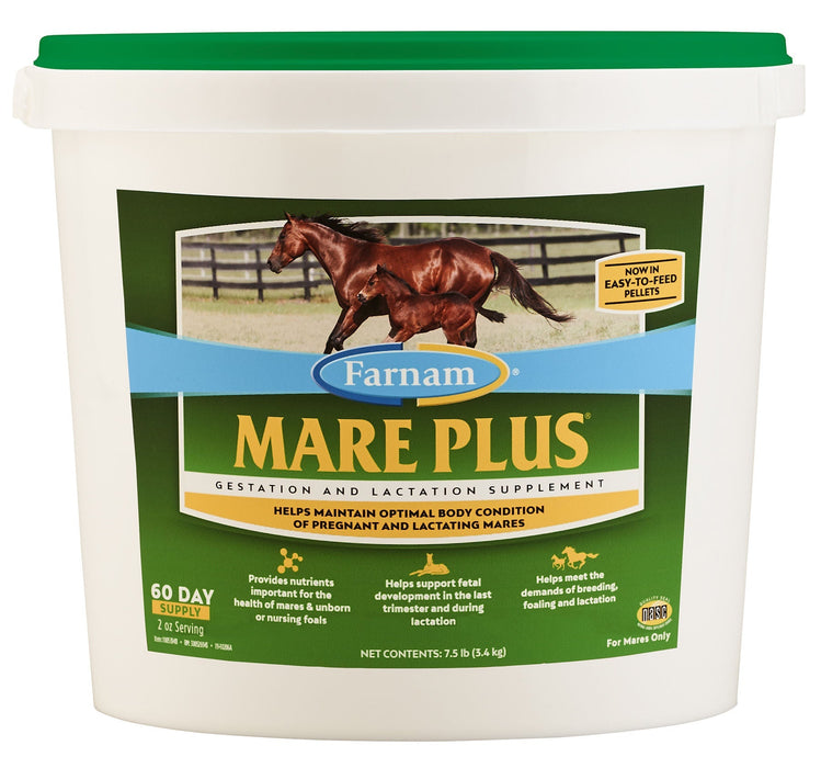 Mare Plus Gestation and Lactation Supplement - Jeffers - Horse Supplies > Horse Supplies